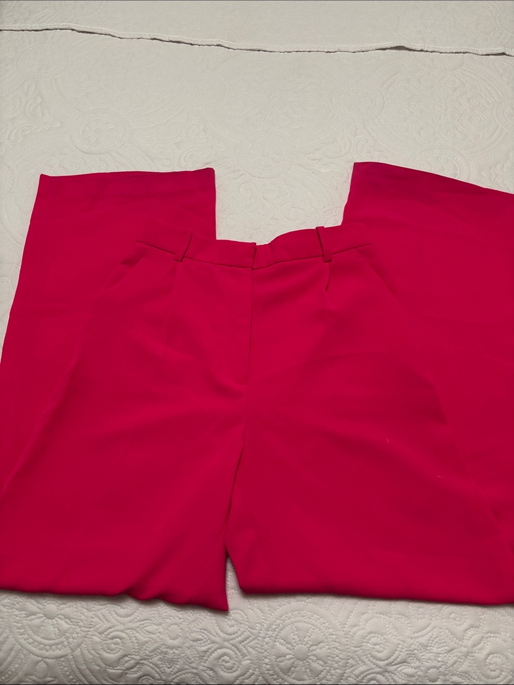Zara Wide Leg Pants in Bright Pink